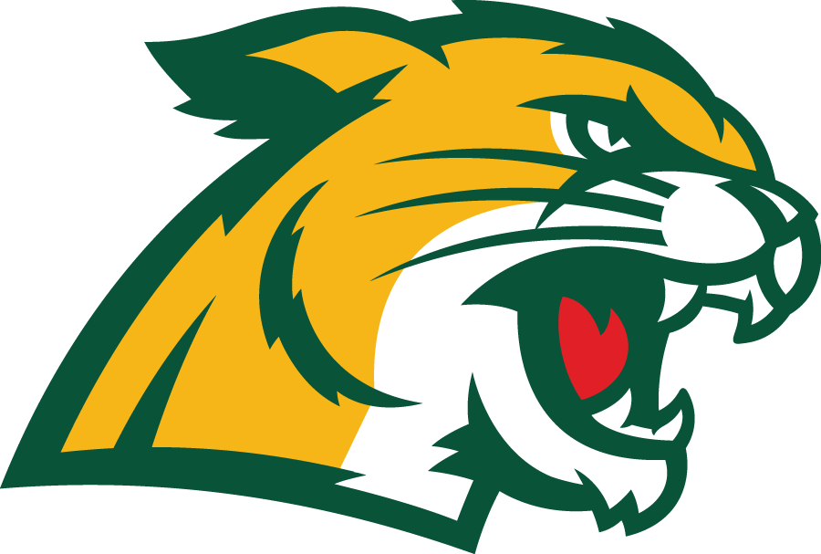 Northern Michigan Wildcats 2016-Pres Secondary Logo iron on transfers for clothing